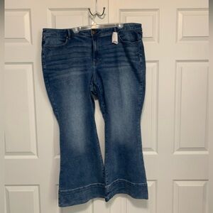 Lane Bryant Signature Fit Flare Mid-Rise Denim